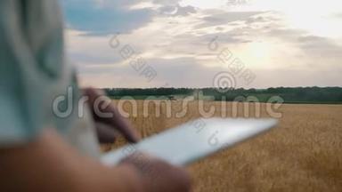 在日落时分，在一片麦田里站着的资深农民利用<strong>现代农业</strong>技术。 利用<strong>现代农业</strong>